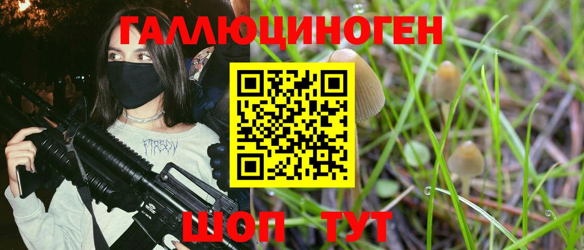 Псилоцибиновые грибы мицелий Мценск