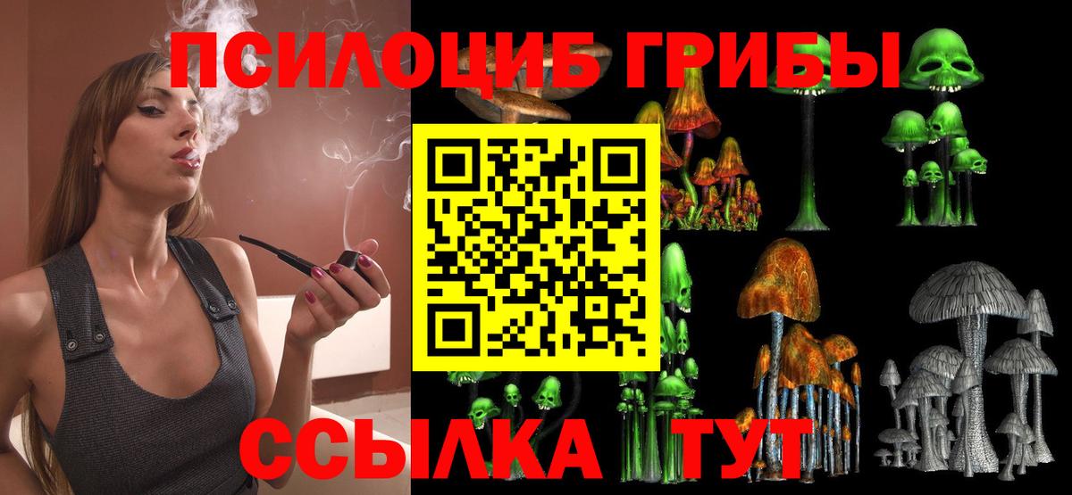 Галлюциногенные грибы Psilocybe  Вход с VPN  магазин    Мценск  Галлюциногенные грибы мухоморы 